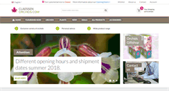 Desktop Screenshot of orchids-shop.com